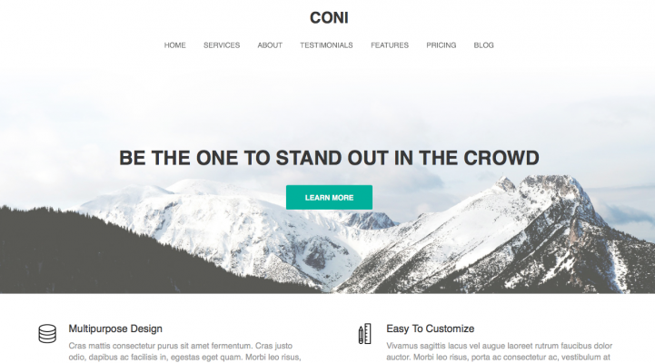 Coni WordPress Theme Review Screenshot